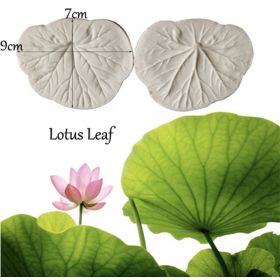Lotus Yeşil Yaprak Damarlama