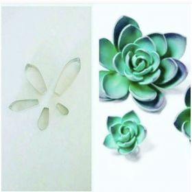 Mermi Tipi Succulent Kalıp